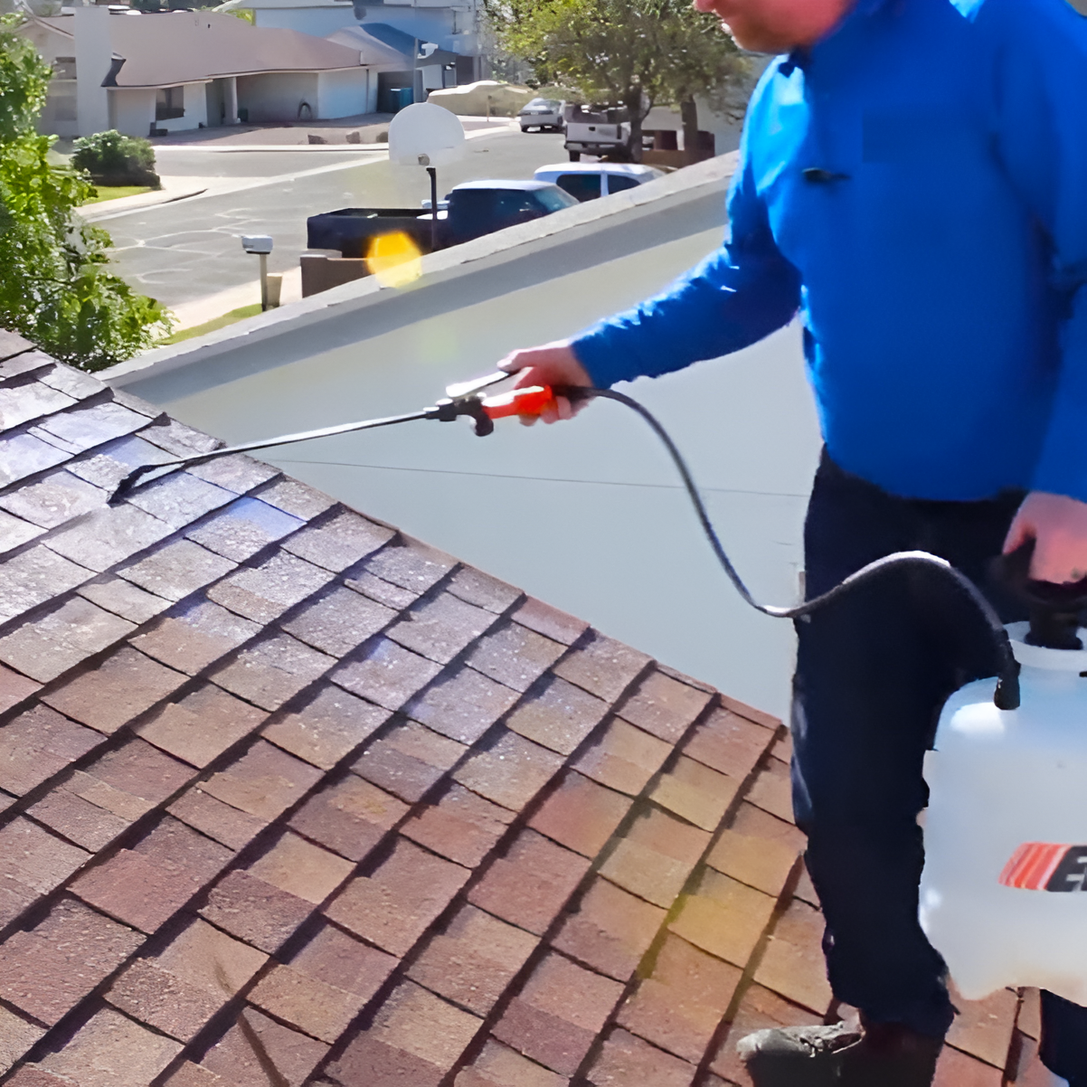 ROOF SEALING